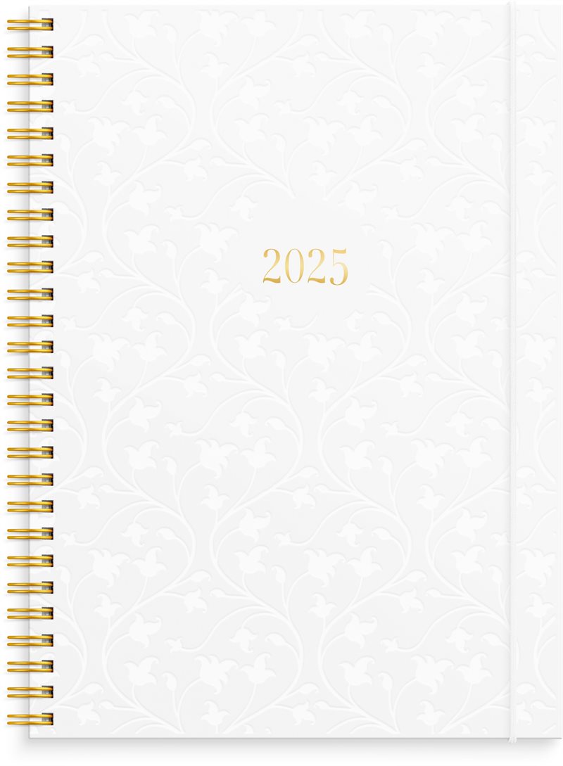 Kalender 2025 Senator A5 Star