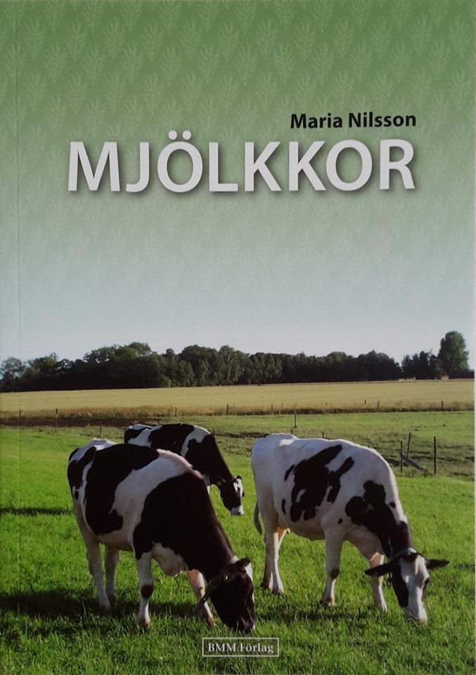 Mjölkkor