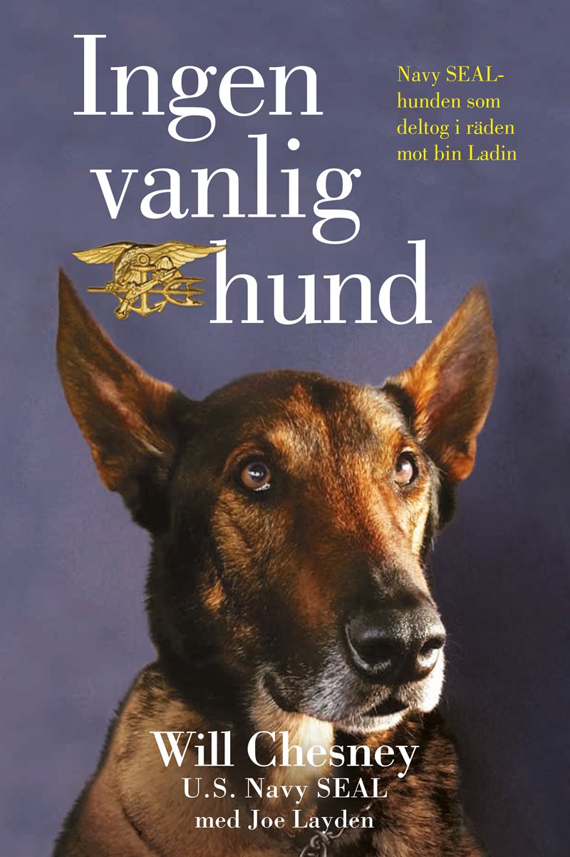 Ingen vanlig hund