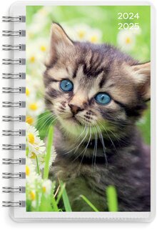 Kalender 24/25 Compact Pets