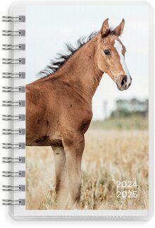 Kalender 24/25 Compact Pets